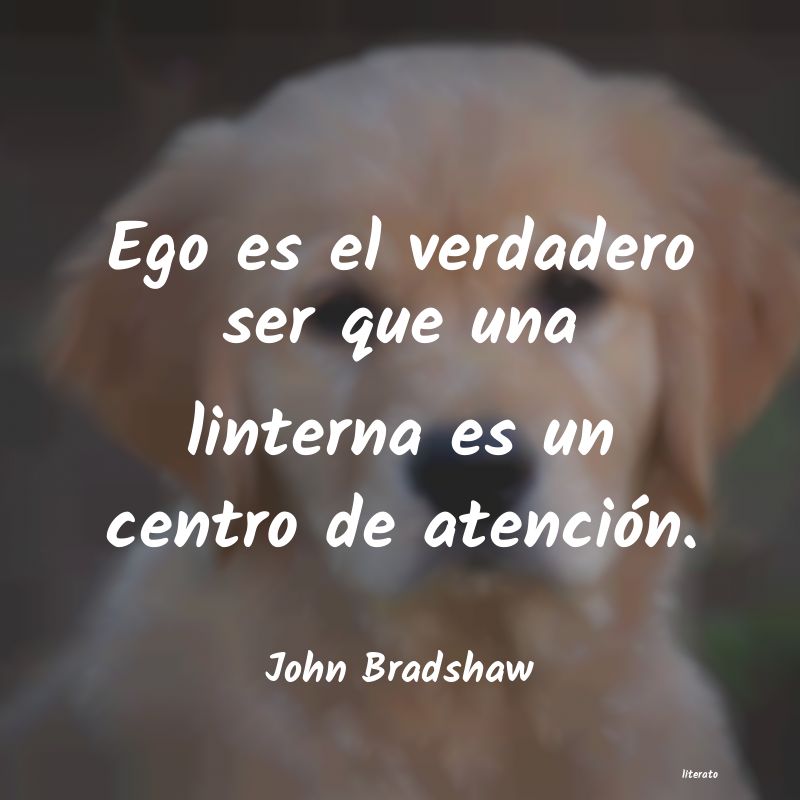 Frases de John Bradshaw