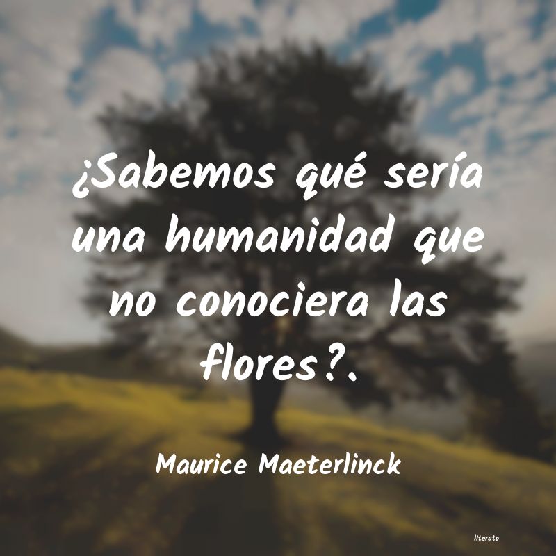 Frases de Maurice Maeterlinck