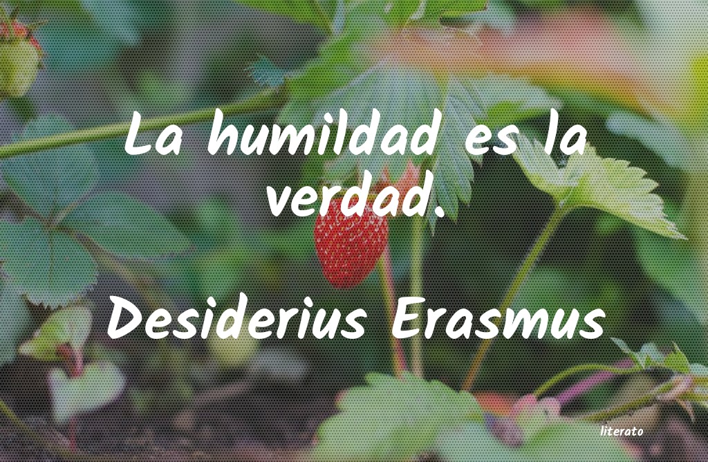 frases de Desiderius Erasmus