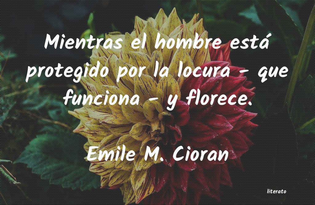 frases de Emile M. Cioran