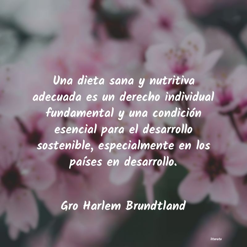 Frases de Gro Harlem Brundtland