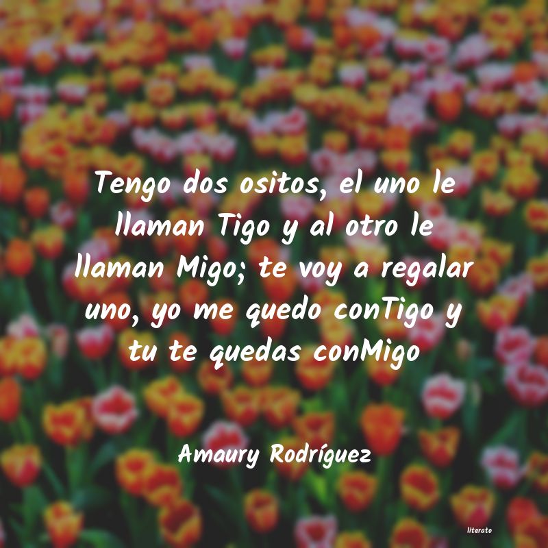 Frases de Amaury Rodríguez