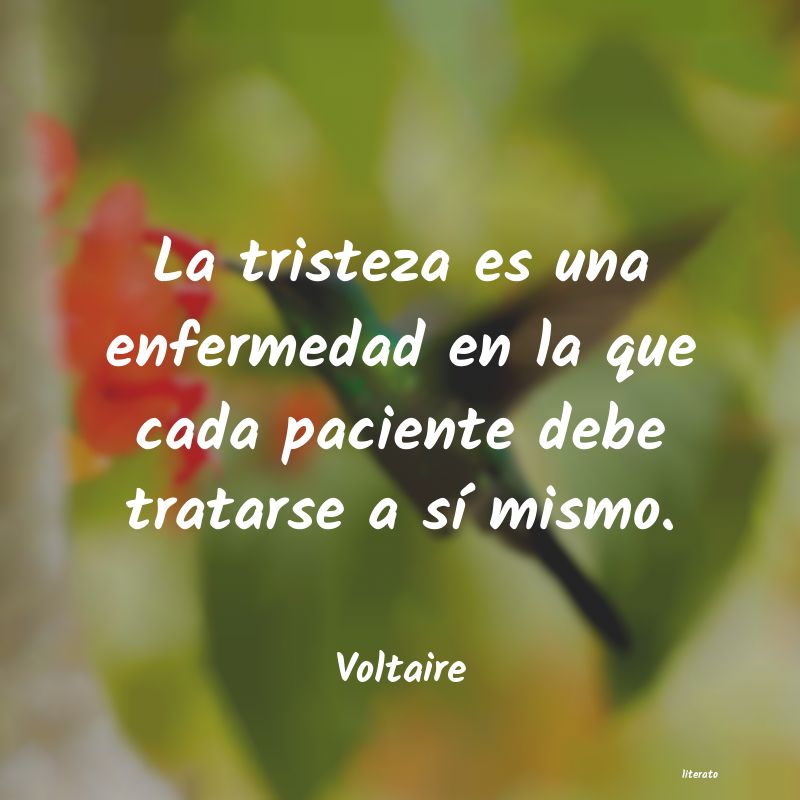 frases de Voltaire