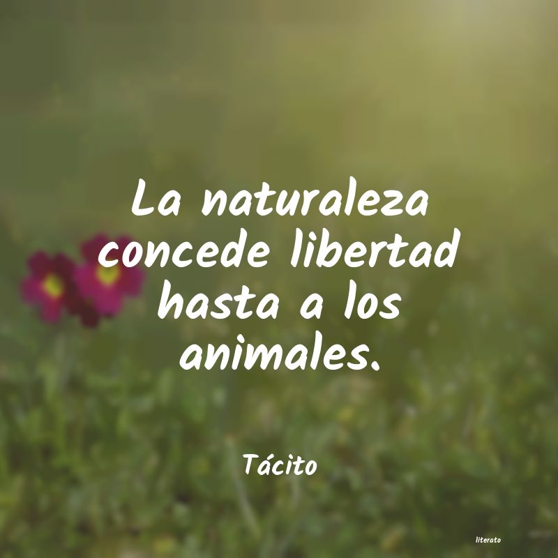 naturaleza pascal