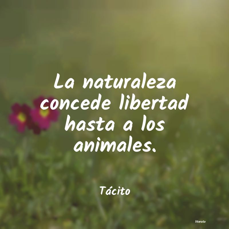 Frases de Tácito