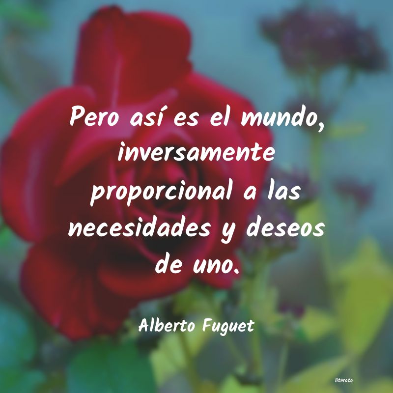 Frases de Alberto Fuguet