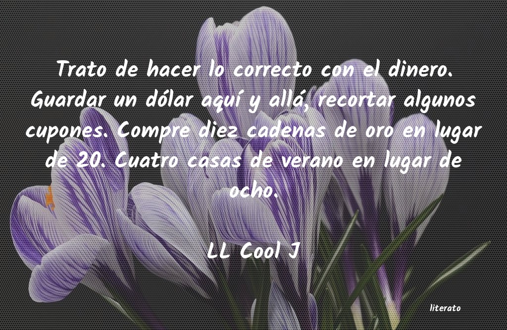 Frases de LL Cool J