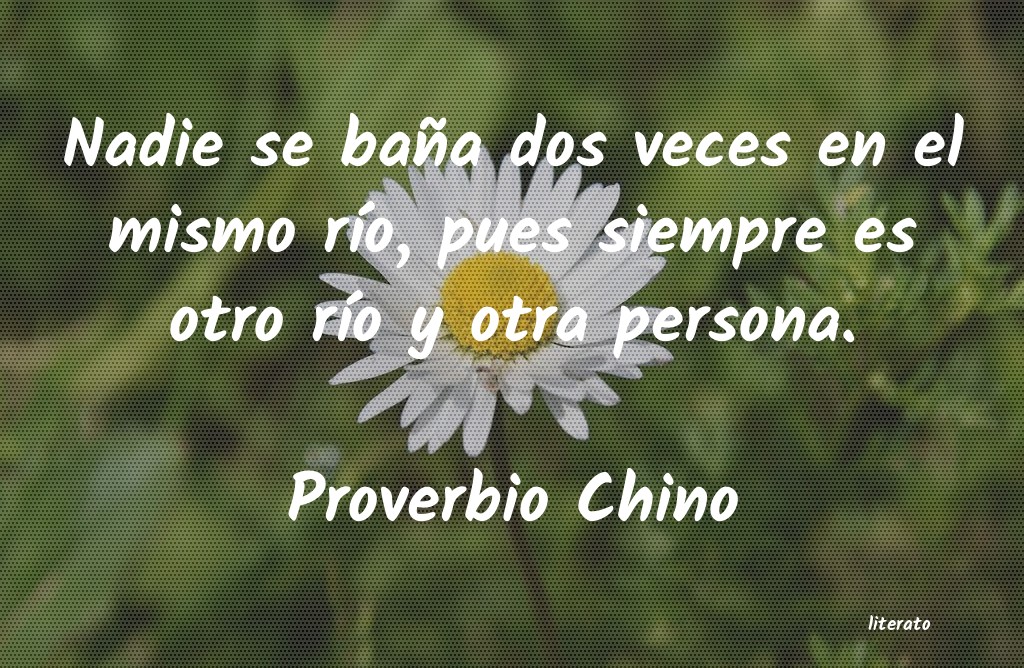 frases de Proverbio Chino