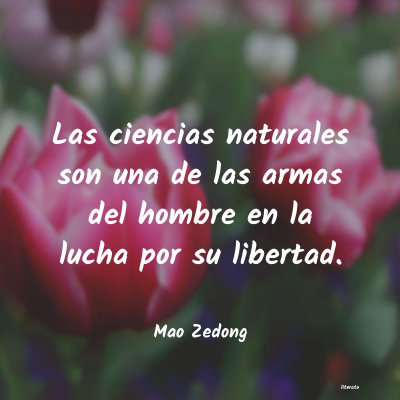 Frases de Mao Zedong