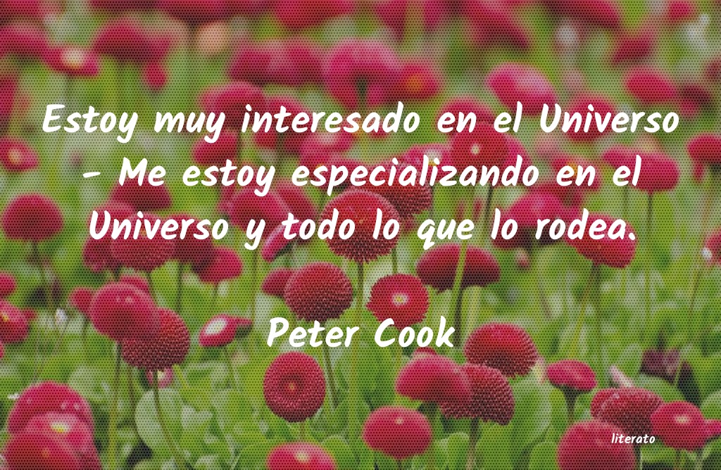 Frases de Peter Cook