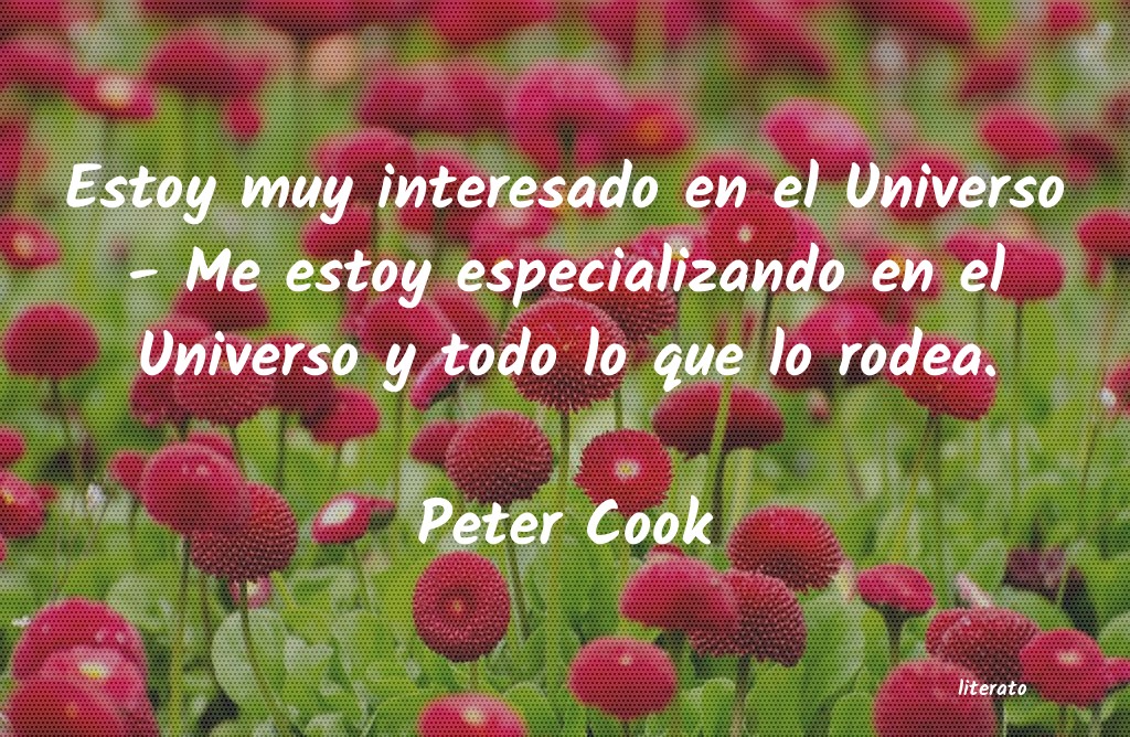 frases de Peter Cook