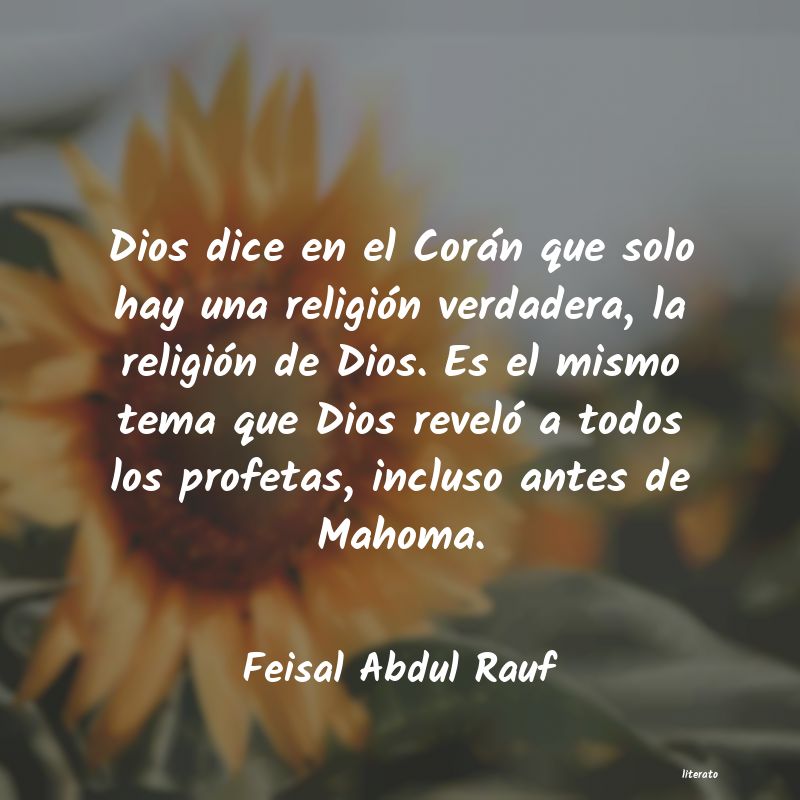Frases de Feisal Abdul Rauf