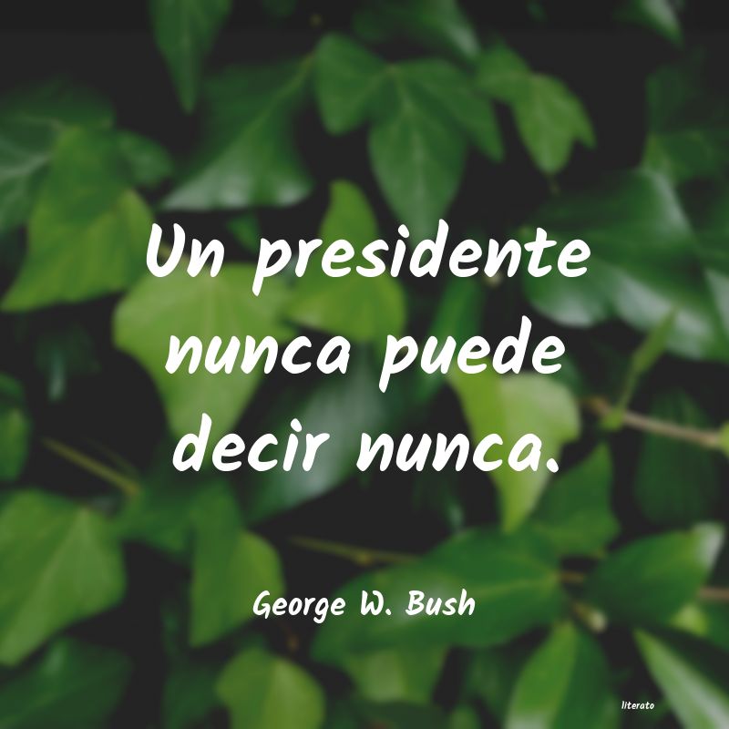 frases de George W. Bush