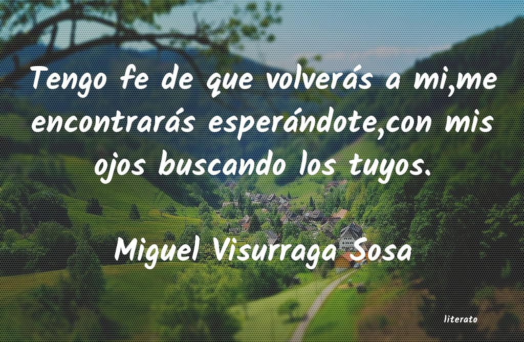 Frases de Miguel Visurraga Sosa