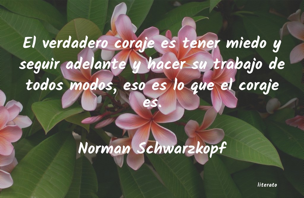 Frases de Norman Schwarzkopf