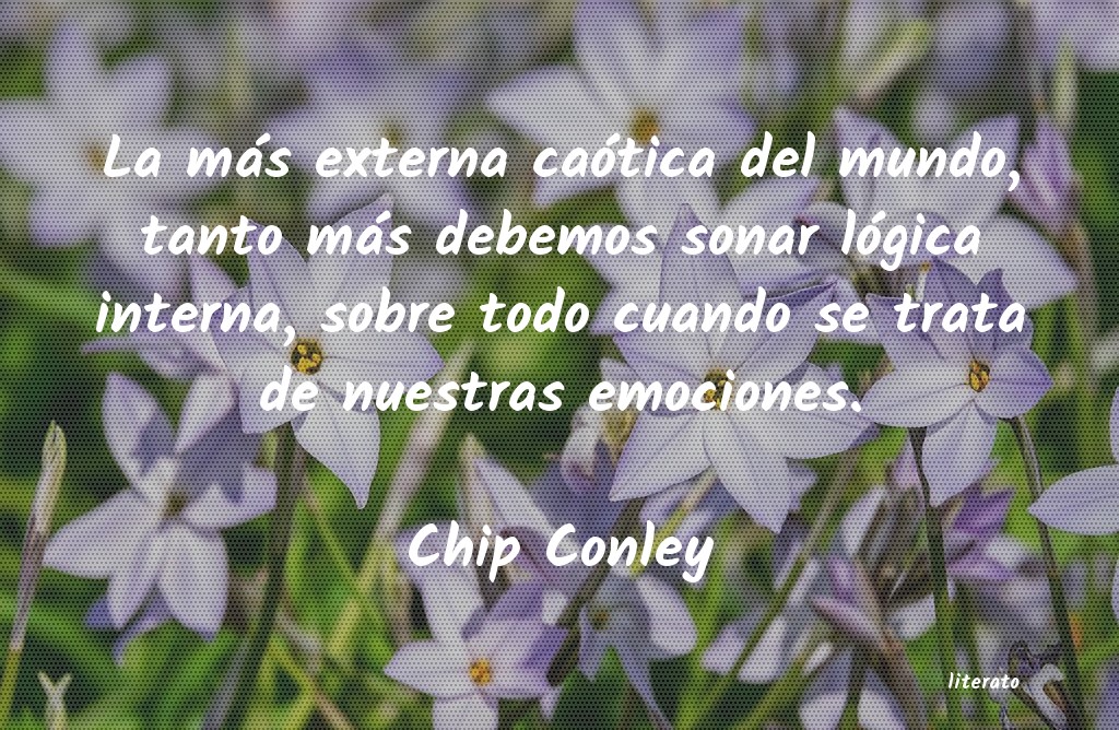 Frases de Chip Conley