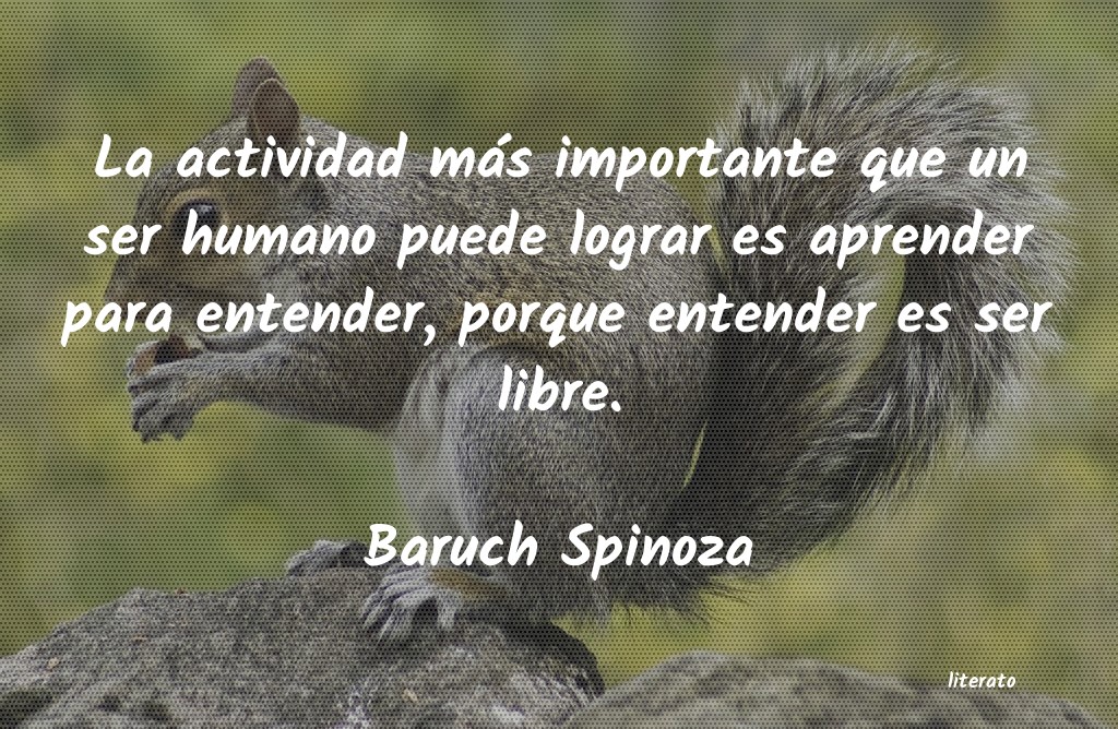 Frases de Baruch Spinoza