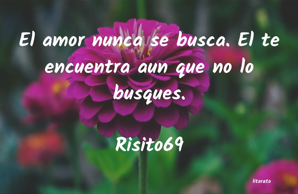 Frases de Risito69