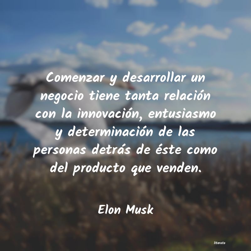 Frases de Elon Musk