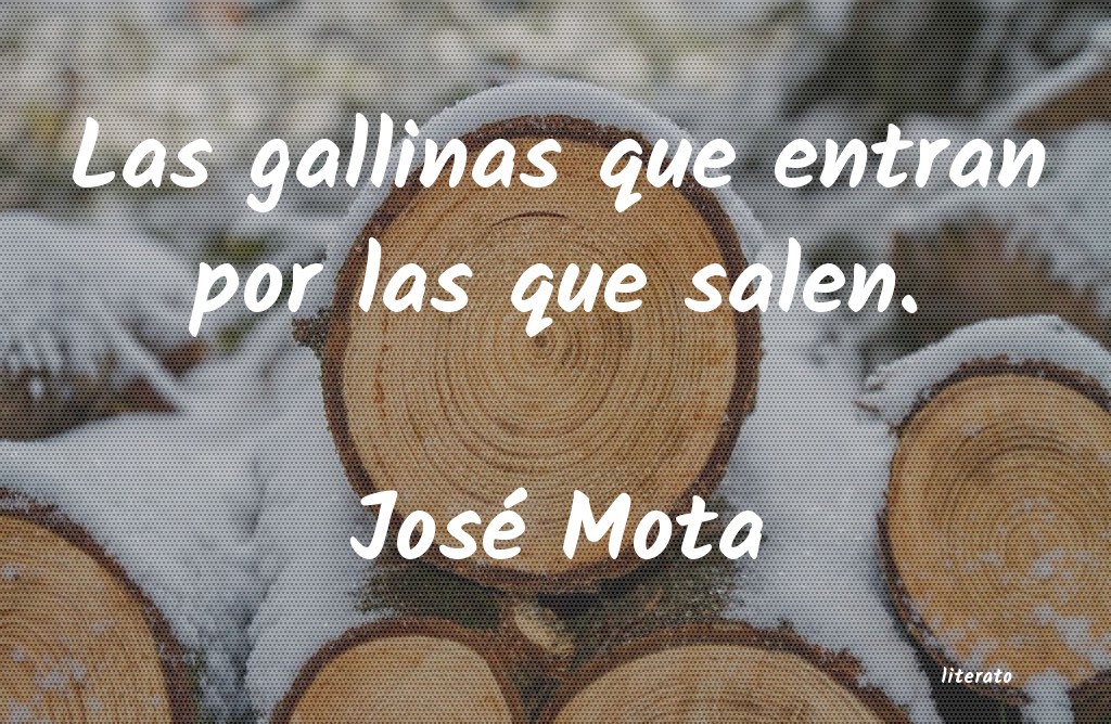 Frases de José Mota