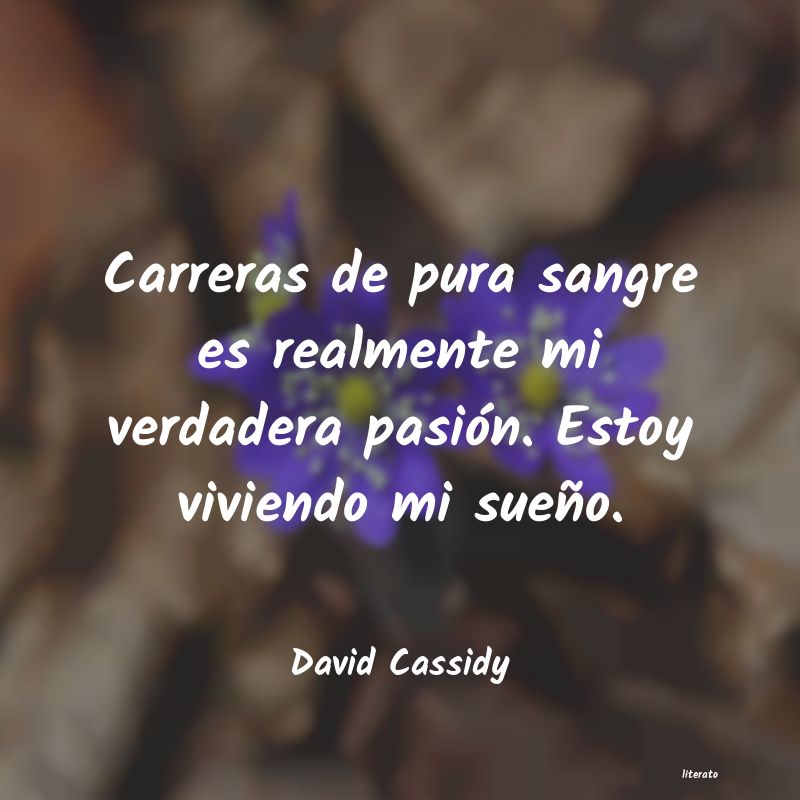 Frases de David Cassidy