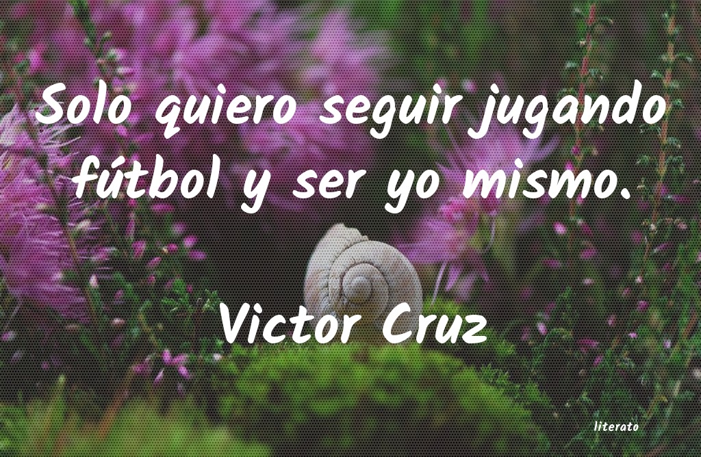 Frases de Victor Cruz