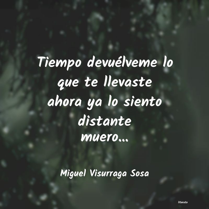 Frases de Miguel Visurraga Sosa