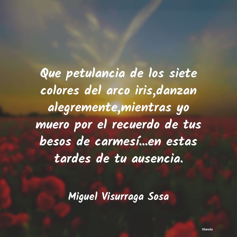 frases de Miguel Visurraga Sosa