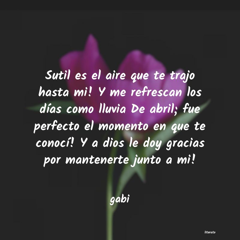 Frases de gabi