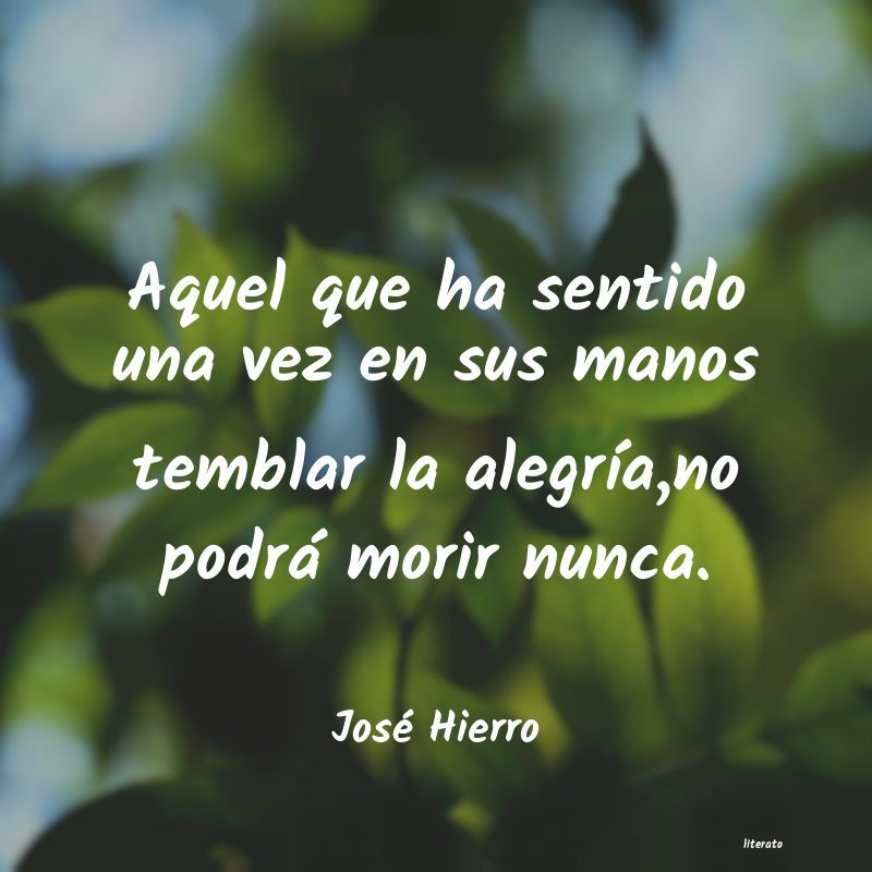 Frases de José Hierro