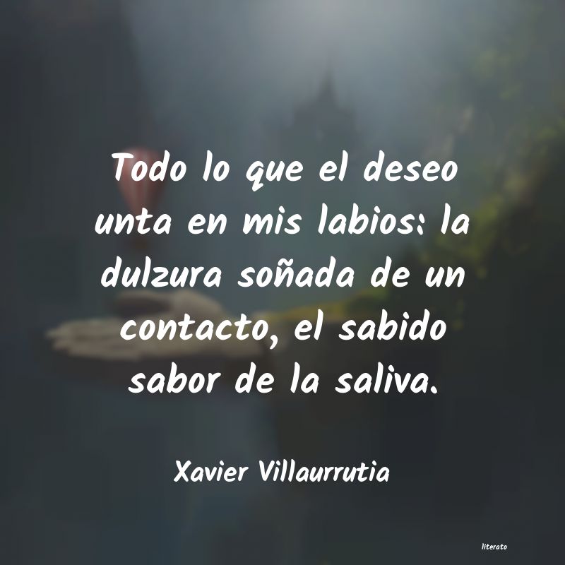 frases de Xavier Villaurrutia