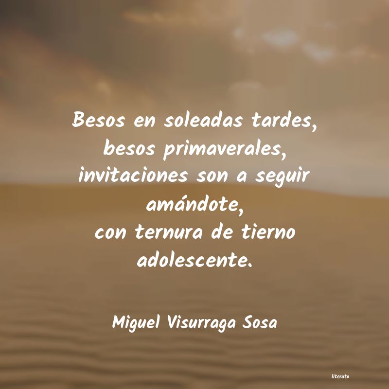 Frases de Miguel Visurraga Sosa