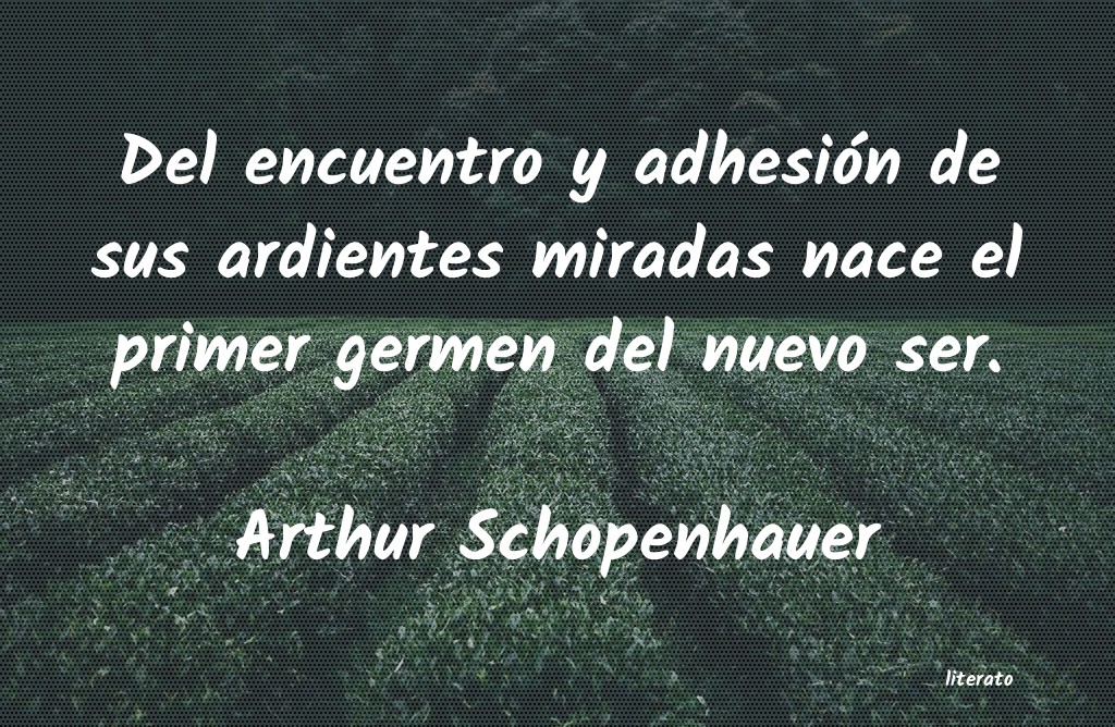 Frases de Arthur Schopenhauer