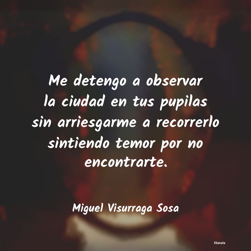 frases de Miguel Visurraga Sosa
