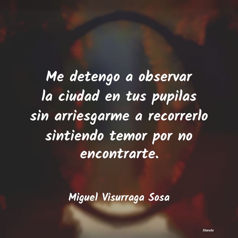 Frases de Miguel Visurraga Sosa