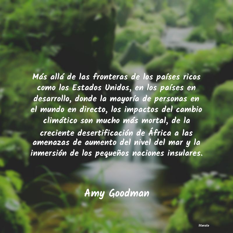 Frases de Amy Goodman