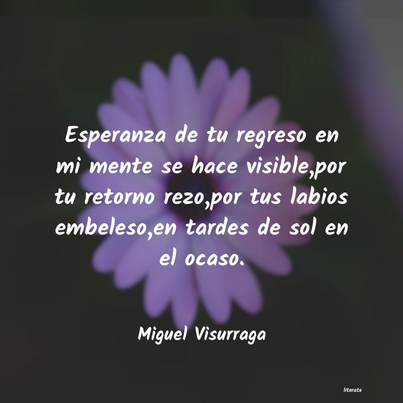 frases de Miguel Visurraga