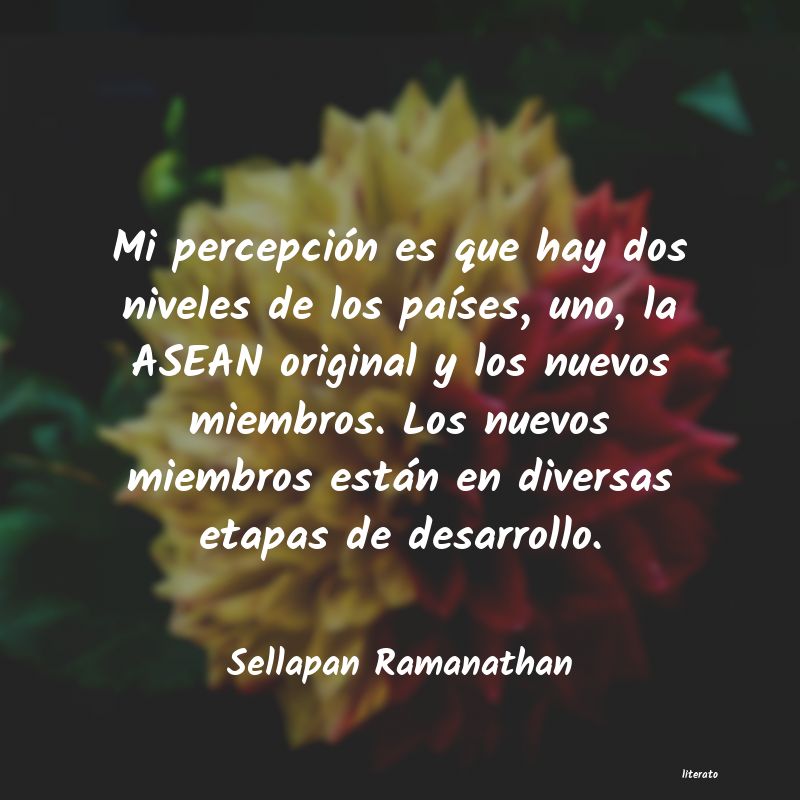frases de Sellapan Ramanathan