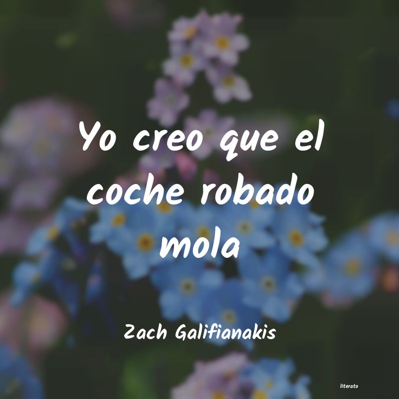 Frases de Zach Galifianakis