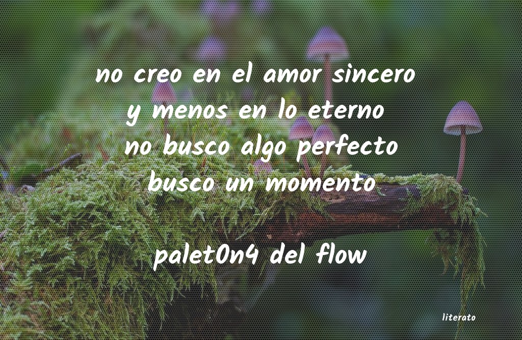 Frases de palet0n4 del flow