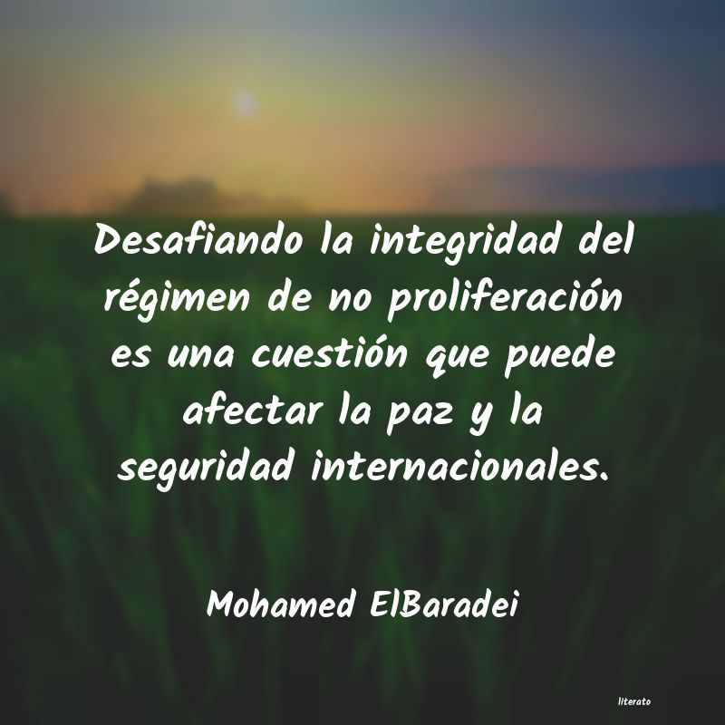frases de Mohamed ElBaradei