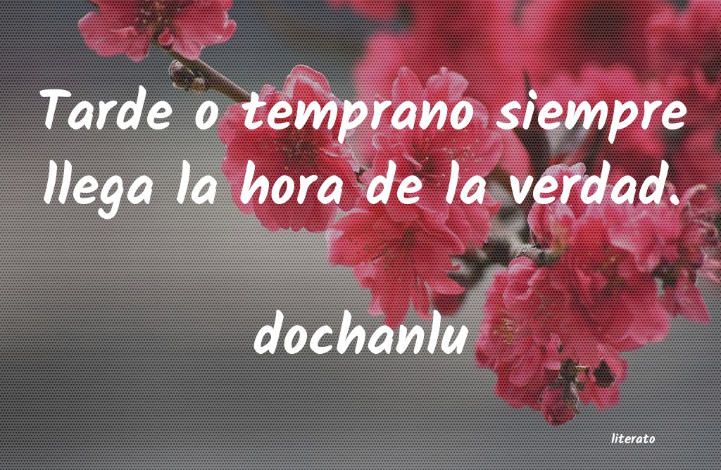 Frases de dochanlu