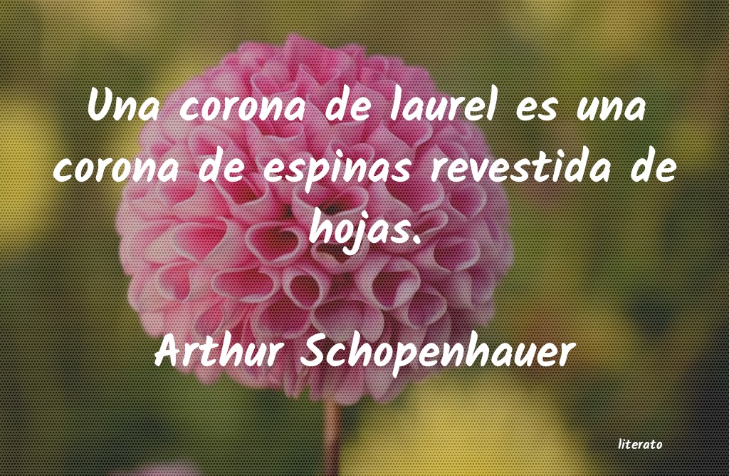 Frases de Arthur Schopenhauer