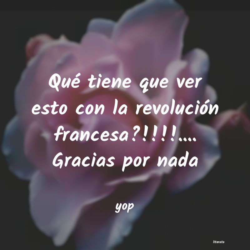 Frases de yop