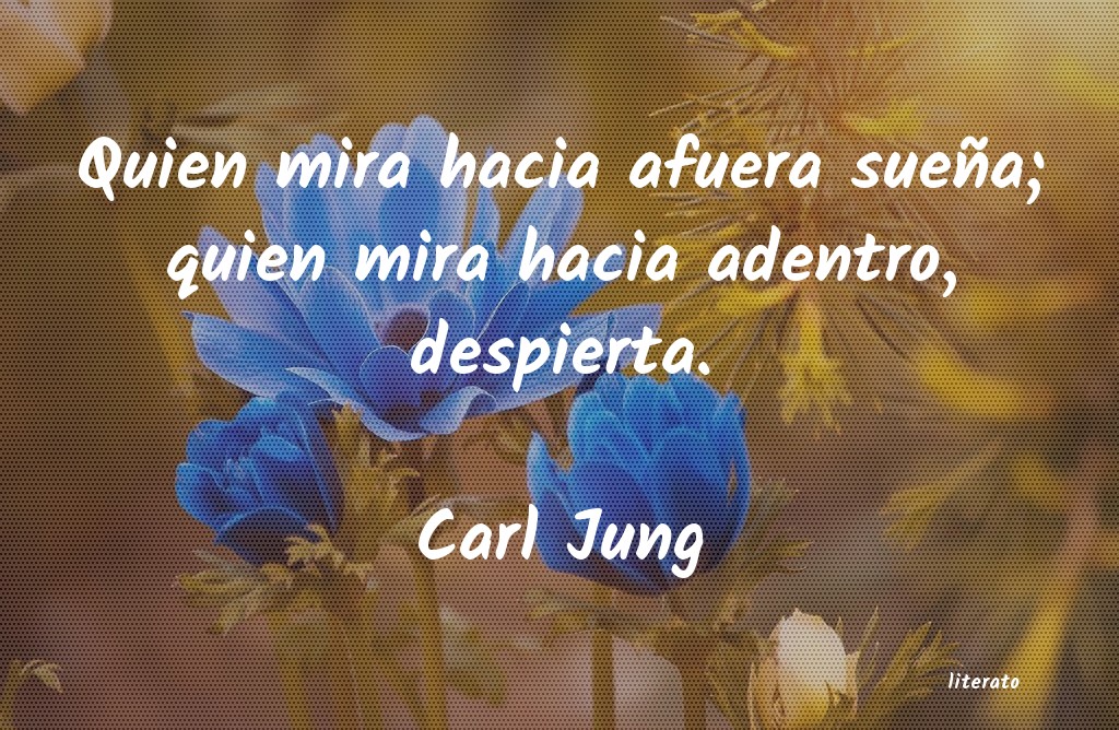 carl jung sentido