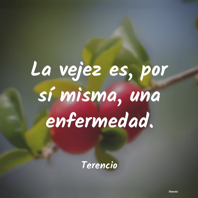 frases de Terencio