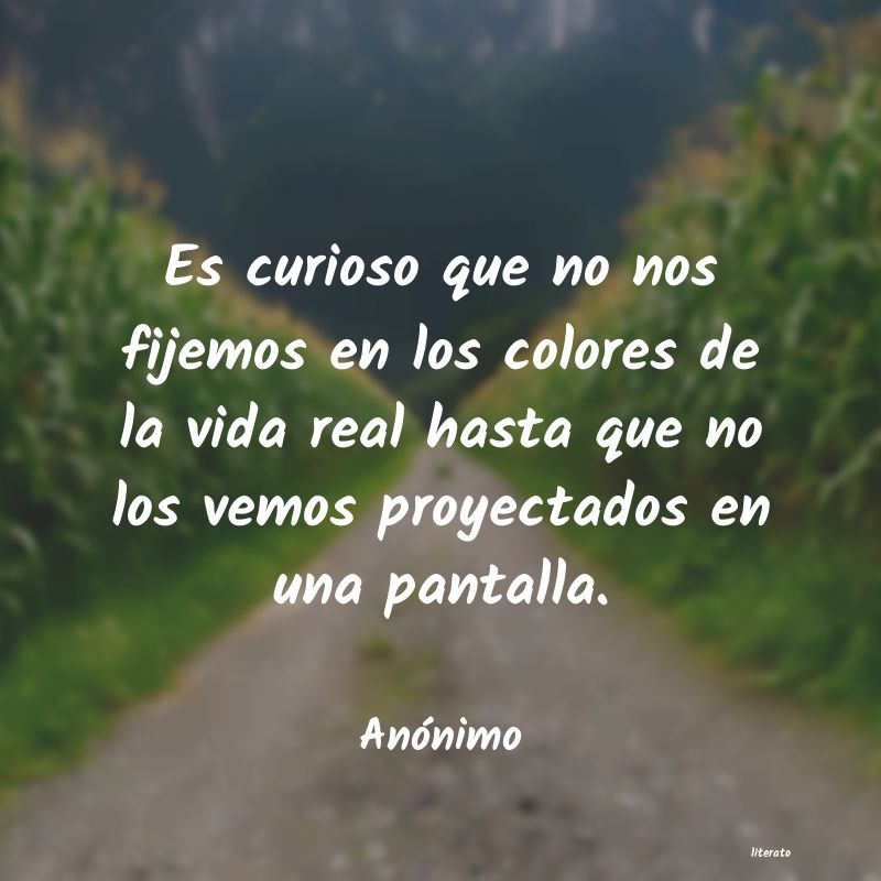 frases