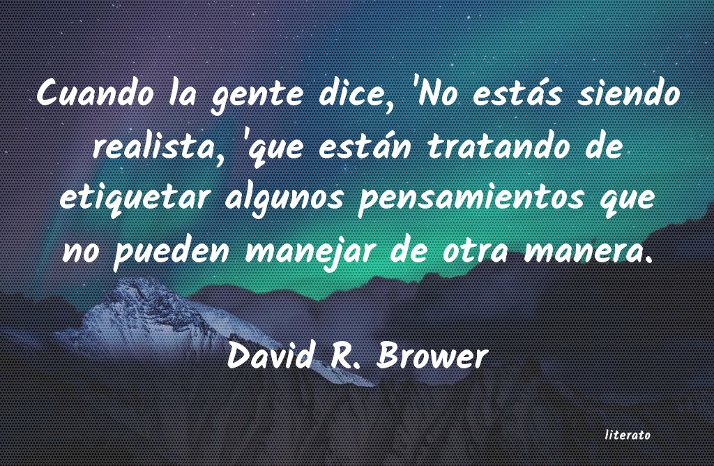 frases de David R. Brower