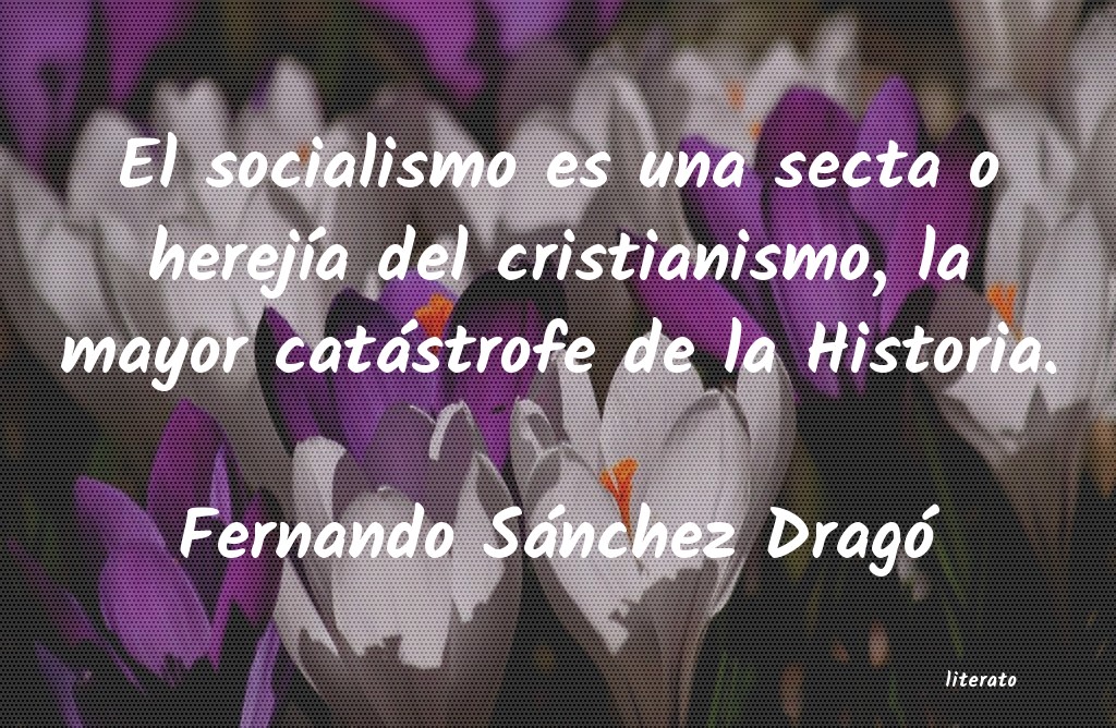 Frases de Fernando Sánchez Dragó