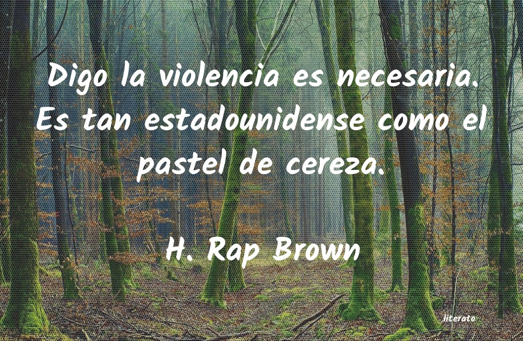 Frases de H. Rap Brown